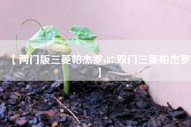 【两门版三菱帕杰罗v87,双门三菱帕杰罗】 【两门版三菱帕杰罗v87,双门三菱帕杰罗】
