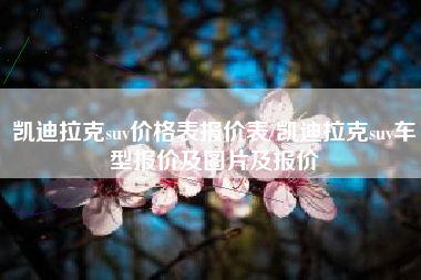 凯迪拉克suv价格表报价表/凯迪拉克suv车型报价及图片及报价