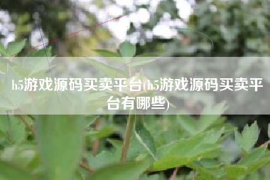 h5游戏源码买卖平台(h5游戏源码买卖平台有哪些)