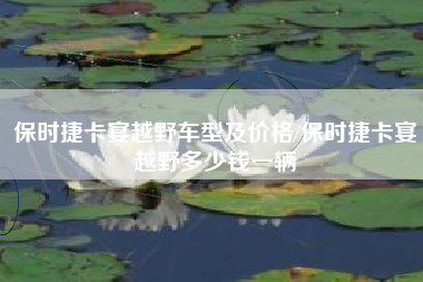 保时捷卡宴越野车型及价格/保时捷卡宴越野多少钱一辆