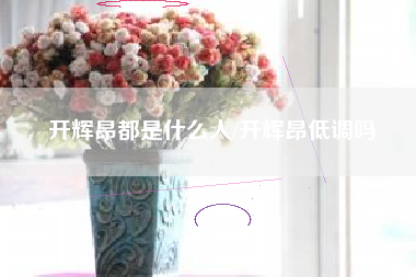 开辉昂都是什么人/开辉昂低调吗