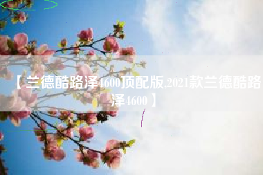 【兰德酷路泽4600顶配版,2021款兰德酷路泽4600】