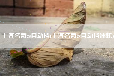 上汽名爵zs自动挡(上汽名爵zs自动挡油耗)