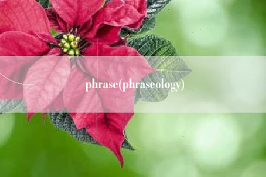 phrase(phraseology) phrase(phraseology)