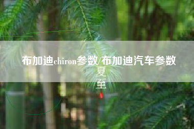 布加迪chiron参数/布加迪汽车参数