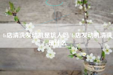 4s店清洗发动机是坑人吗/4s店发动机清洗是什么