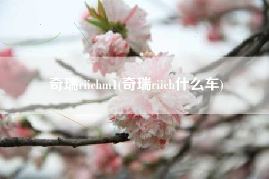 奇瑞riichm1(奇瑞riich什么车) 奇瑞riichm1(奇瑞riich什么车)