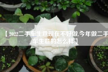 【2022二手车生意现在不好做,今年做二手车生意的怎么样】