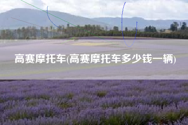 高赛摩托车(高赛摩托车多少钱一辆)