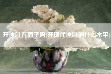 开途胜有面子吗(开现代途胜的什么水平)