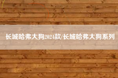 长城哈弗大狗2024款/长城哈弗大狗系列