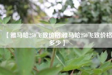【雅马哈250飞致价格,雅马哈250飞致价格多少】