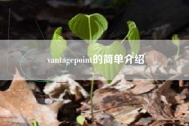 vantagepoint的简单介绍