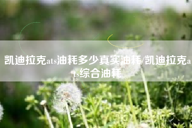 凯迪拉克ats油耗多少真实油耗/凯迪拉克ats综合油耗