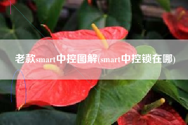 老款smart中控图解(smart中控锁在哪) 老款smart中控图解(smart中控锁在哪)
