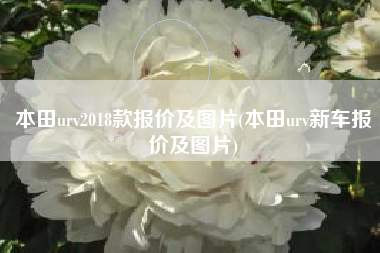 本田urv2018款报价及图片(本田urv新车报价及图片) 本田urv2018款报价及图片(本田urv新车报价及图片)