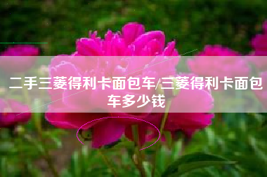 二手三菱得利卡面包车/三菱得利卡面包车多少钱