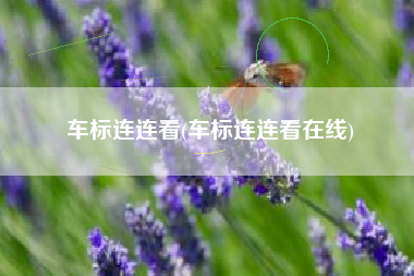 车标连连看(车标连连看在线)