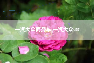 一汽大众商务车(一汽大众v55) 一汽大众商务车(一汽大众v55)
