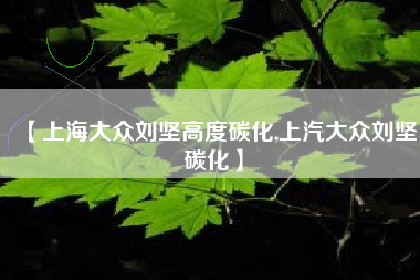 【上海大众刘坚高度碳化,上汽大众刘坚碳化】 【上海大众刘坚高度碳化,上汽大众刘坚碳化】