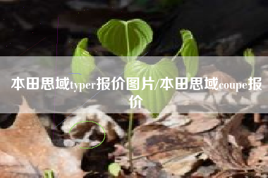 本田思域typer报价图片/本田思域coupe报价 本田思域typer报价图片/本田思域coupe报价