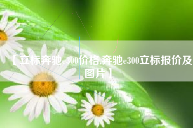 【立标奔驰e300价格,奔驰e300立标报价及图片】