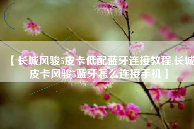 【长城风骏5皮卡低配蓝牙连接教程,长城皮卡风骏5蓝牙怎么连接手机】