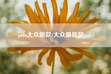polo大众新款(大众最新款polo) polo大众新款(大众最新款polo)