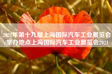 2021年第十九届上海国际汽车工业展览会/举办地点上海国际汽车工业展览会2021