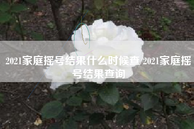 2021家庭摇号结果什么时候查/2021家庭摇号结果查询