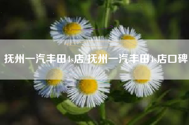 抚州一汽丰田4s店/抚州一汽丰田4s店口碑 抚州一汽丰田4s店/抚州一汽丰田4s店口碑