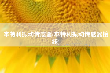 本特利振动传感器(本特利振动传感器接线) 本特利振动传感器(本特利振动传感器接线)
