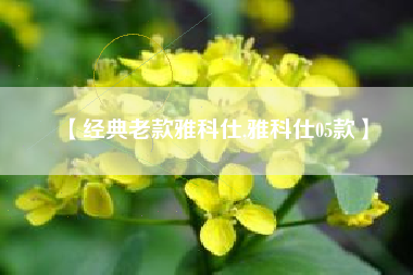 【经典老款雅科仕,雅科仕05款】