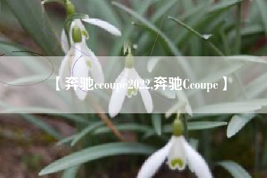 【奔驰ccoupe2022,奔驰Ccoupe】 【奔驰ccoupe2022,奔驰Ccoupe】