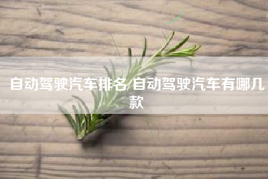 自动驾驶汽车排名/自动驾驶汽车有哪几款