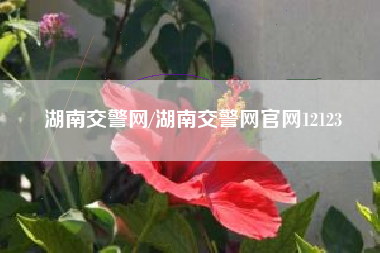 湖南交警网/湖南交警网官网12123