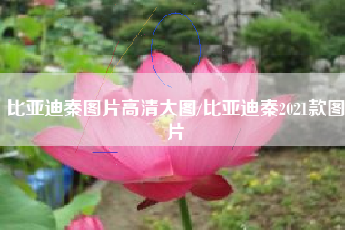 比亚迪秦图片高清大图/比亚迪秦2021款图片