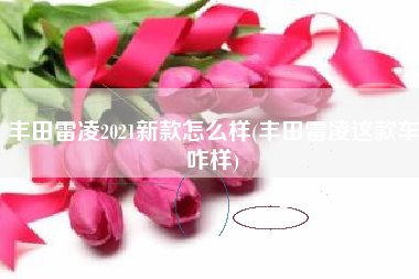 丰田雷凌2021新款怎么样(丰田雷凌这款车咋样)