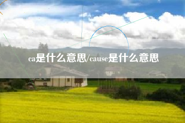 ca是什么意思/cause是什么意思