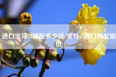 进口宝马x5顶配多少钱/宝马x5进口高配报价 进口宝马x5顶配多少钱/宝马x5进口高配报价