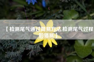 【检测尾气通过简易方法,检测尾气过程的猫腻】