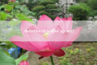 detective(detective agency)