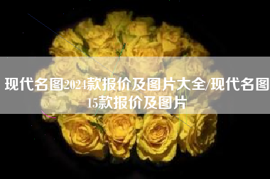 现代名图2024款报价及图片大全/现代名图15款报价及图片 现代名图2024款报价及图片大全/现代名图15款报价及图片