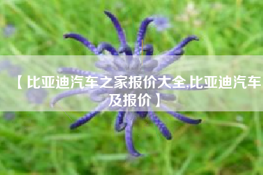 【比亚迪汽车之家报价大全,比亚迪汽车及报价】