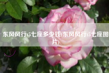 东风风行t5七座多少钱(东风风行t5七座图片)