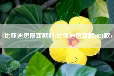 比亚迪唐最新款的(比亚迪唐新款2021款)