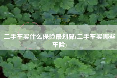 二手车买什么保险最划算(二手车买哪些车险)