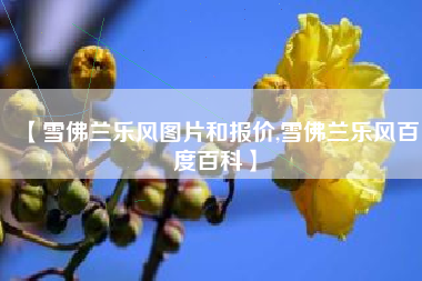 【雪佛兰乐风图片和报价,雪佛兰乐风百度百科】 【雪佛兰乐风图片和报价,雪佛兰乐风百度百科】