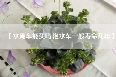 【水淹车能买吗,泡水车一般寿命几年】 【水淹车能买吗,泡水车一般寿命几年】