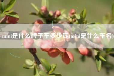 mini是什么牌子车多少钱(mini是什么车名)